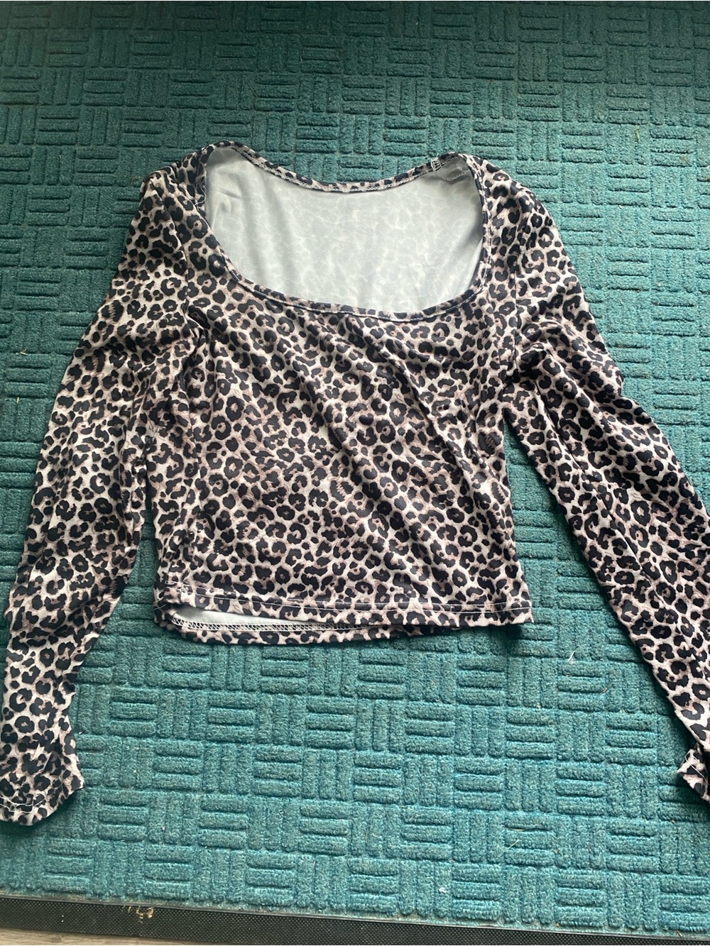 Beige and Black Leopard Scoop Neck Crop Top